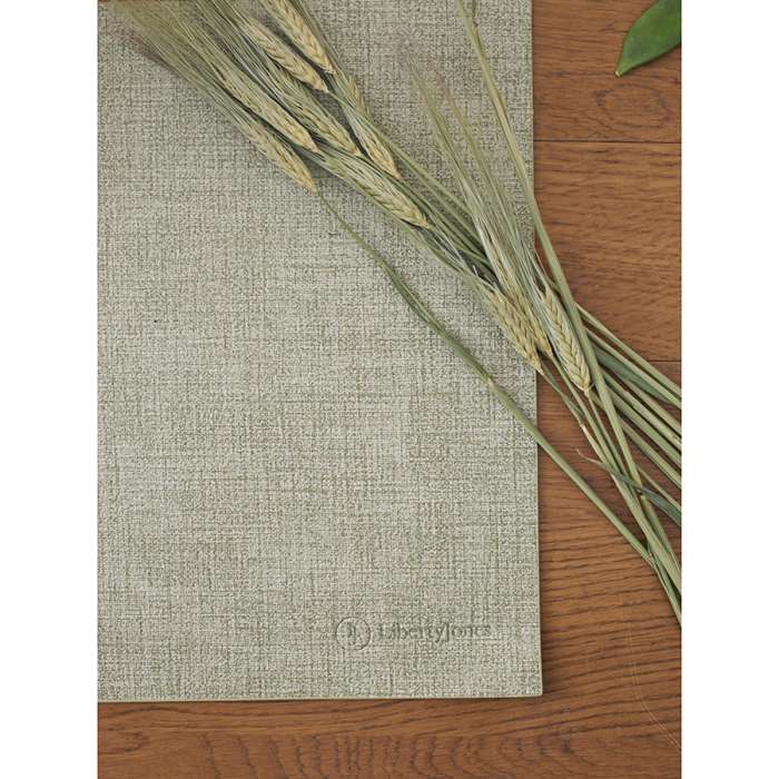 Набор из 2-х сервировочных салфеток Leanera, 30х45 см, мятные LIBERTY JONES LJ0000255