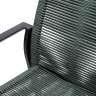 Стул paulsen, серо-зеленый Bergenson Bjorn BB0000467