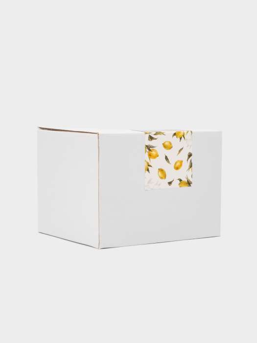 Кружка, 450 мл, фарфор P, молочная, Лимоны, Limoncello ANNA LAFARG ANLAF-ARJ-290525-2