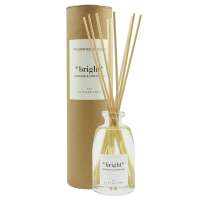 Диффузор ароматический the olphactory, bright, orange&cinnamon, 250 мл Ambientair MK250NCTO