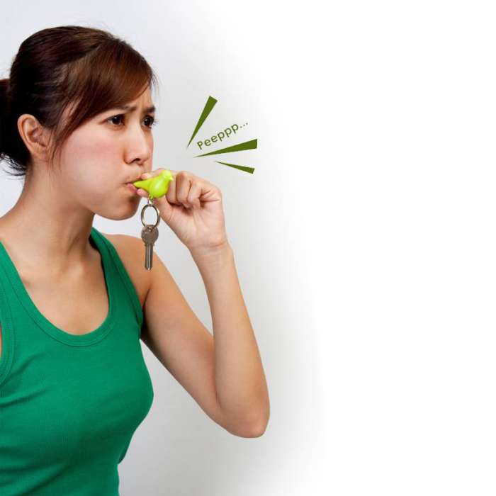 Держатель+брелок для ключей Sparrow белый/розовый QUALY QL10091-WH-PK