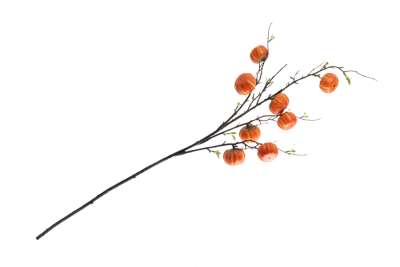 Ветка декоративная, 94 см, полиэстер/пластик, Тыквы, Bright pumpkin ANNA LAFARG ANLAF-QY36