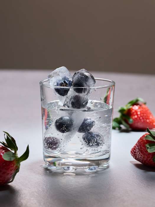 Форма для льда с крышкой ice sticks, 10 ячеек Smart Solutions SS0000378