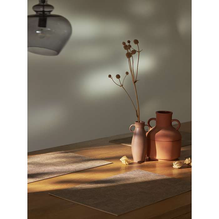 Набор из 4-х сервировочных салфеток leanera, 30х45 см, песочные Liberty Jones LJ0000250