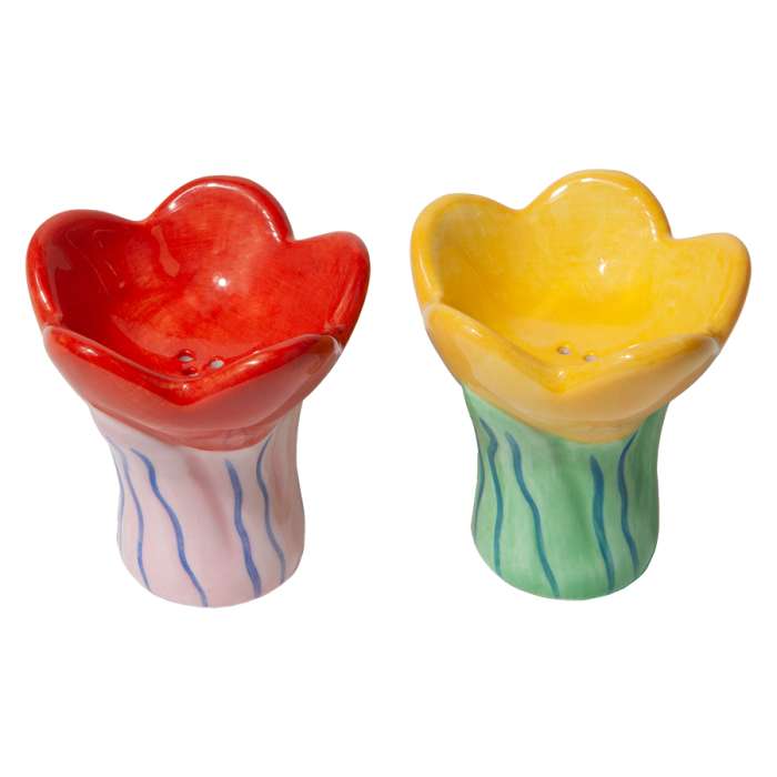 Набор из солонки и перечницы bloom DOIY DYSPEBLO