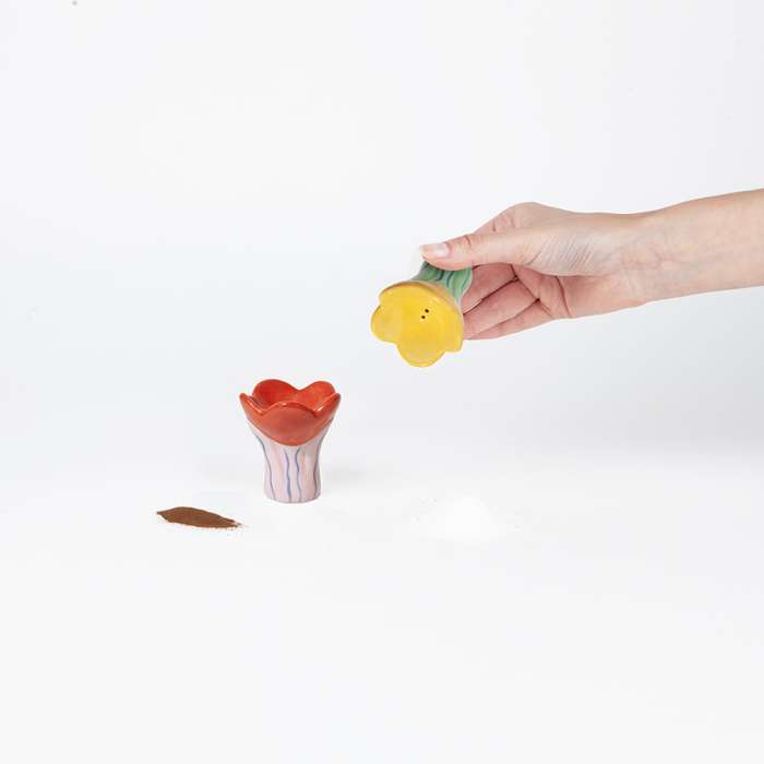 Набор из солонки и перечницы bloom DOIY DYSPEBLO