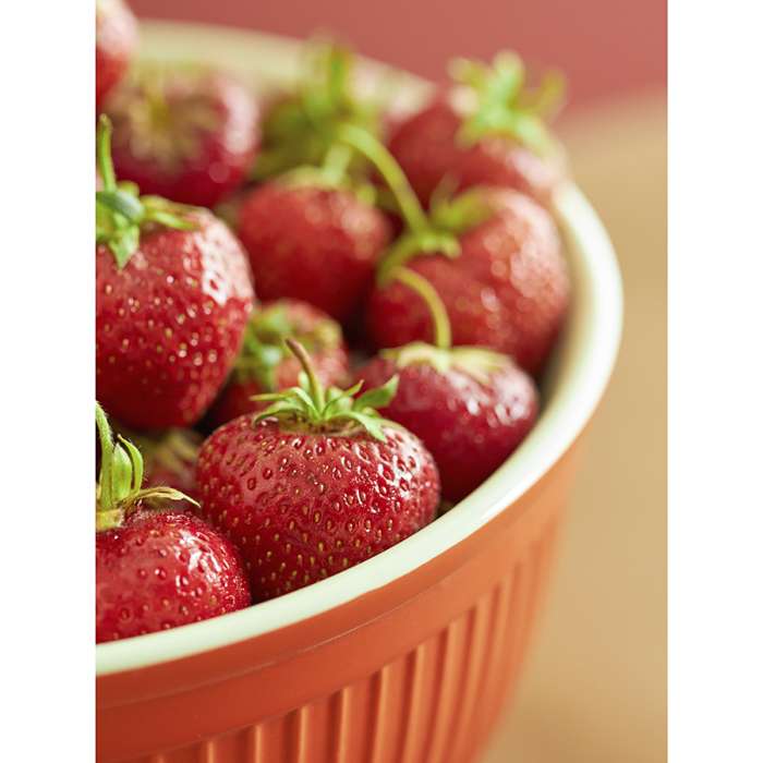 Миска Soft Ripples, 3 л, карамельная LIBERTY JONES LJ000070