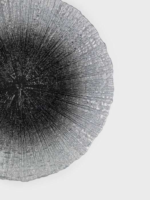 Тарелка обеденная, 28 см, стекло, серебристо-серая, Avila ANNA LAFARG ANLAF-5649-1909038