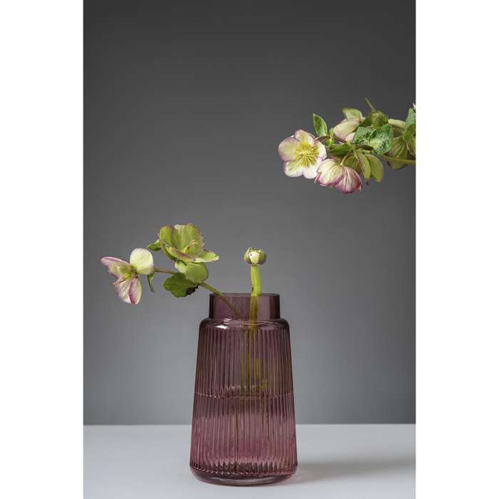 Ваза noemi, 19 см, бордовая Bergenson Bjorn BB00008