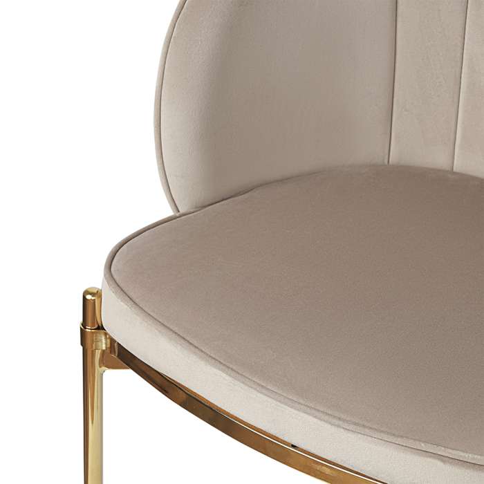 Стул coral, велюр, серо-бежевый Bergenson Bjorn BB0000702