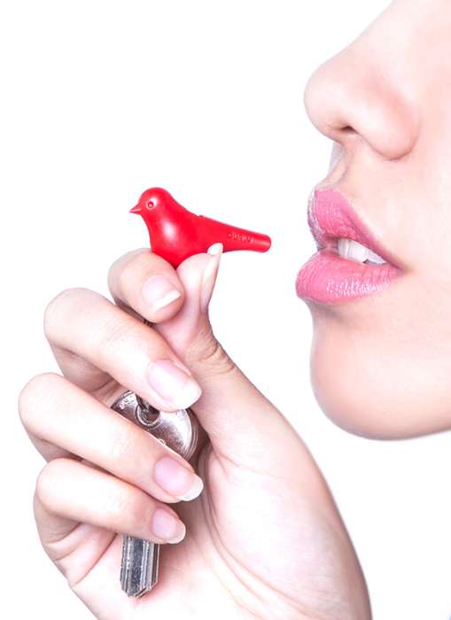 Держатель+брелок для ключей Mini Sparrow красный QUALY QL10184-WH-RD