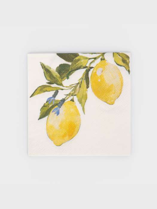 Салфетки бумажные, 21х21 см, 20 шт, квадратные, белые, Лимоны, Palermo ANNA LAFARG ANLAF-WUH-S26-01