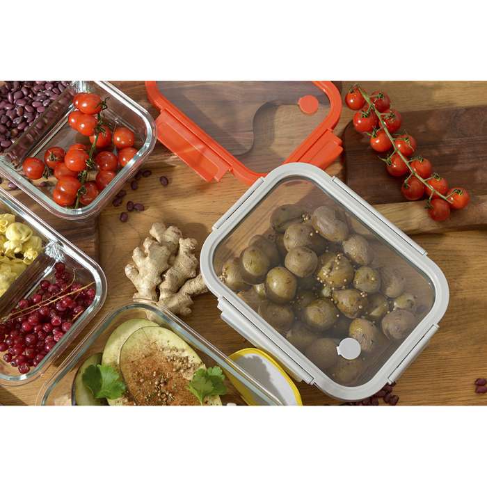 Контейнер для запекания и хранения прямоугольный с крышкой, 1 л, светло-серый SMART SOLUTIONS SFE-SS-CN-GLS-GR-1