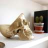 Органайзер для мелочей skull, золотой SUCK UK SK TIDYSKULL3