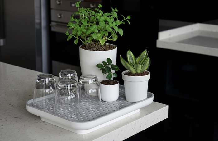 Лоток для полива растений oasis tray, белый QUALY QL10309-WH-GY