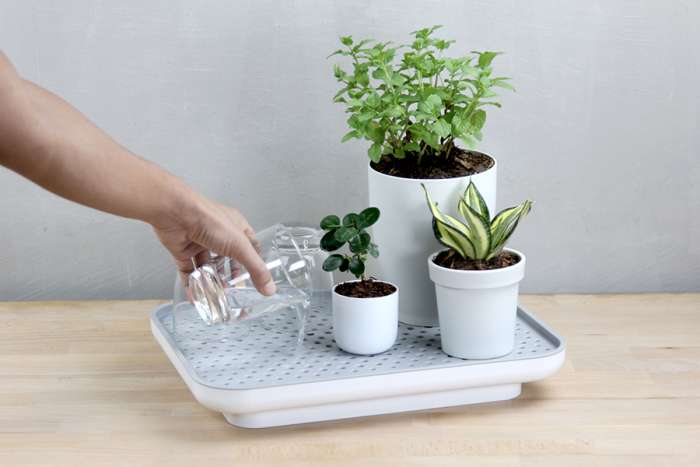 Лоток для полива растений oasis tray, белый QUALY QL10309-WH-GY