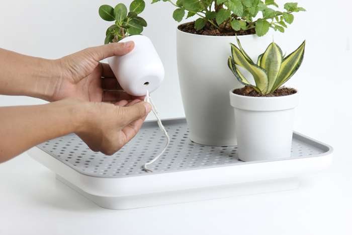 Лоток для полива растений oasis tray, белый QUALY QL10309-WH-GY