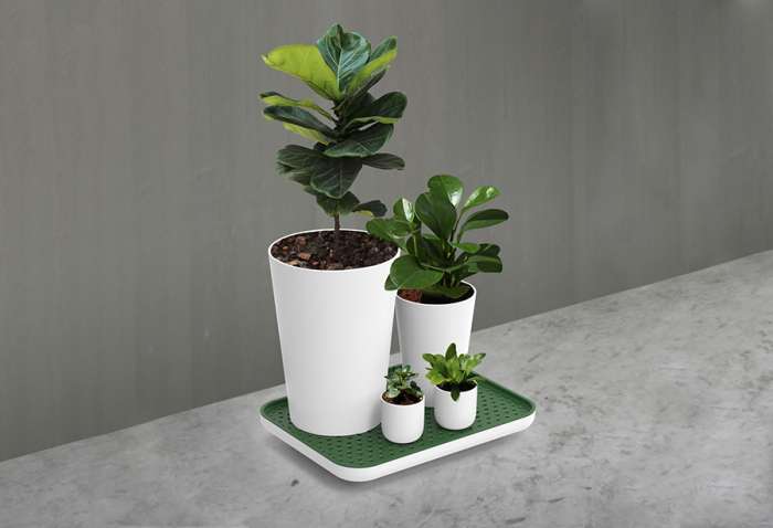 Лоток для полива растений oasis tray, белый QUALY QL10309-WH-GY