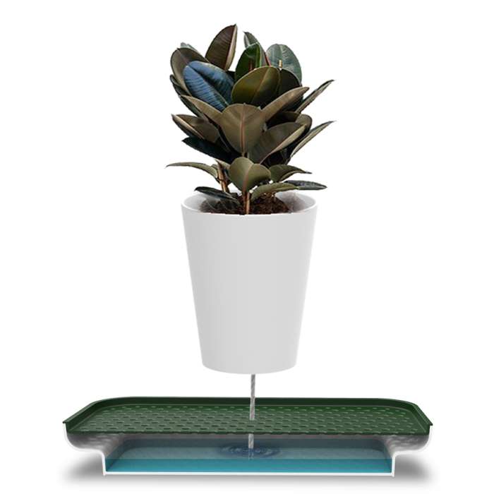 Лоток для полива растений oasis tray, белый QUALY QL10309-WH-GY