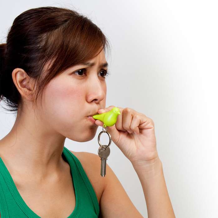 Держатель для ключей duo sparrow, коричневый/белый/голубой QUALY QL10124-BN-WH-BU