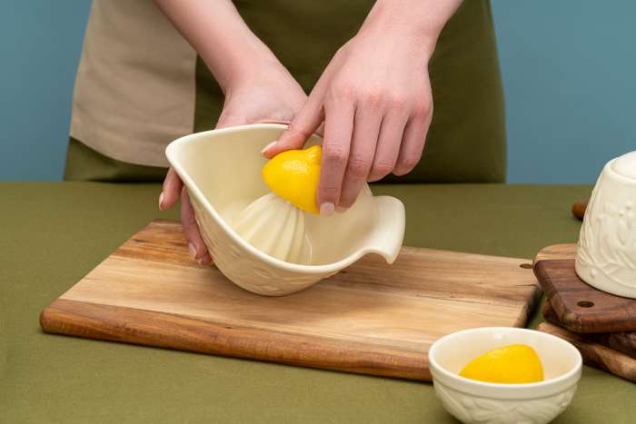 Соковыжималка birds of paradise, 410 мл, кремовая Liberty Jones CZ-LJ-JC-CR-410