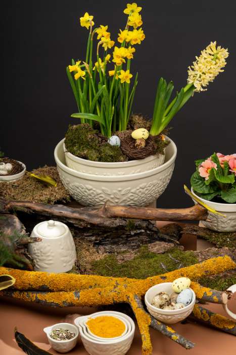 Набор мерных чаш birds of paradise, кремовые, 4 шт. Liberty Jones CZ-LJ-MC-CR-Set4