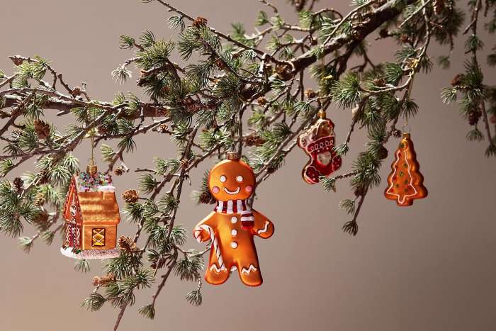 Набор ёлочных украшений ginger celebration коллекции new year essential Tkano TK25-NY_DEC0011