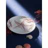 Набор из четырех тарелок aquarium из коллекции sea treasures, D21,5 см Tkano TK24-TW_PL0003