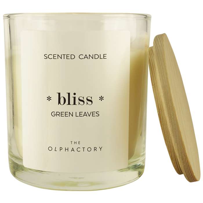 Свеча ароматическая the olphactory, bliss, green rhubarb, 40 ч Ambientair VV401DLTO