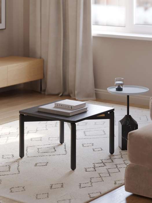 Столик кофейный saga, 60х60 см, темно-серый LATITUDE SGBRDTBL_C_SQDGR60