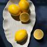 Блюдо сервировочное clams серого цвета из коллекции sea treasures Tkano TK25-TW_SRV0006