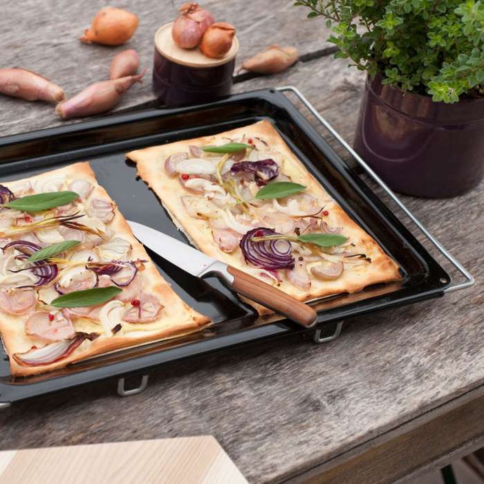 Противень многофункциональный профессиональный 41/51 х 33 х 2 см SWARZEMAILLE RIESS 0403-022