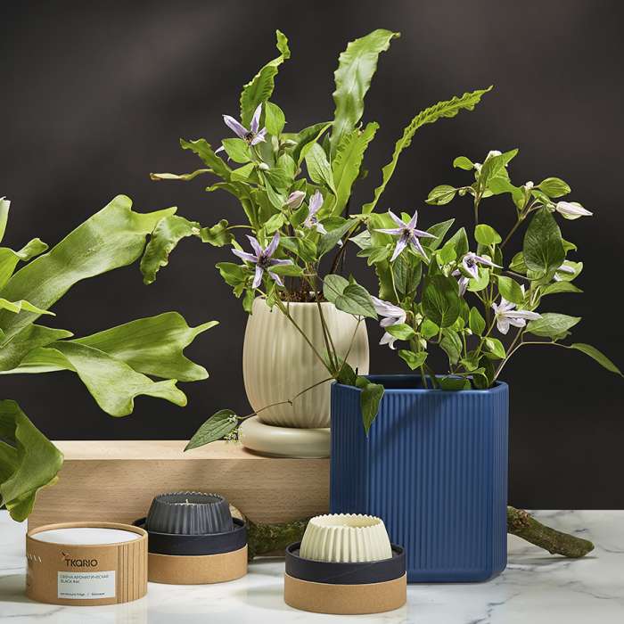 Свеча ароматическая nutmeg, leather & vanilla из коллекции edge, бежевый, 30 ч Tkano TK23-ARO0018