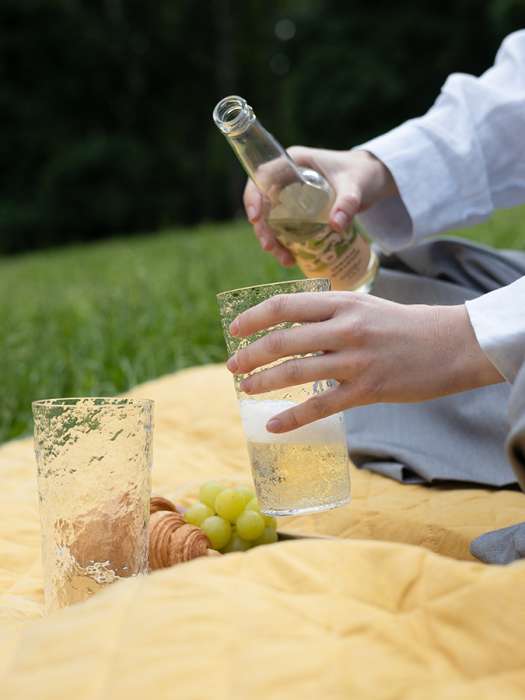 Набор стаканов из акрила arctic, 540 мл, прозрачный, 4 шт. Liberty Jones LJ0000429