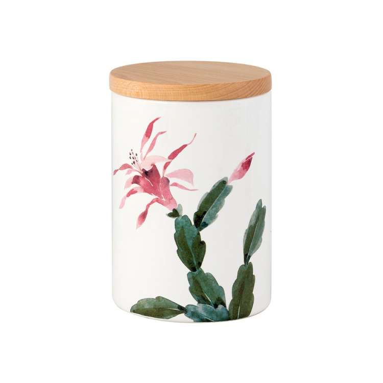 Nuova Cer Емкость с крышкой Cactus 17см Nuova Cer 5010-CAT