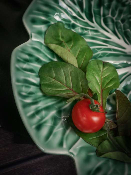 Тарелка d 26,5 см h 3 см, Cabbage CASA DI FORTUNA CDF CB01