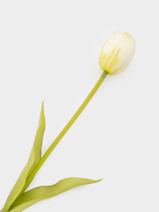 Цветок искусственный, 40 см, полиэтилен, Белый тюльпан, Interior spring ANNA LAFARG ANLAF-JMB-2567