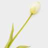 Цветок искусственный, 40 см, полиэтилен, Белый тюльпан, Interior spring ANNA LAFARG ANLAF-JMB-2567