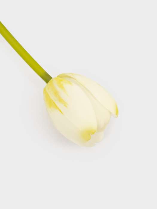 Цветок искусственный, 40 см, полиэтилен, Белый тюльпан, Interior spring ANNA LAFARG ANLAF-JMB-2567