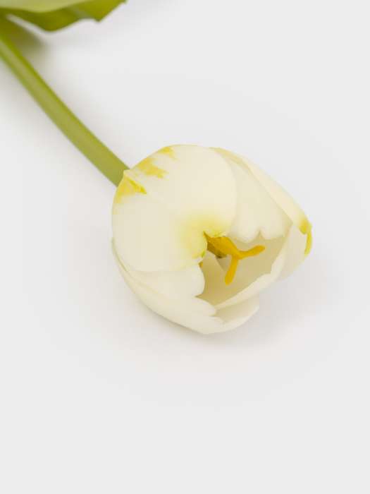 Цветок искусственный, 40 см, полиэтилен, Белый тюльпан, Interior spring ANNA LAFARG ANLAF-JMB-2567