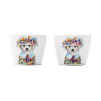 Подставка для яиц Mikasa Tipperleyhill, 2 шт., диаметр 5 см, высота 4 см Kitchen Craft MKTIPPEGG2PCPUP