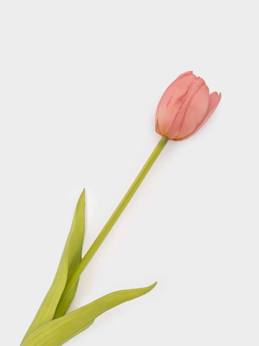 Цветок искусственный, 40 см, полиэтилен, Розовый тюльпан, Interior spring ANNA LAFARG ANLAF-JMB-2567-B