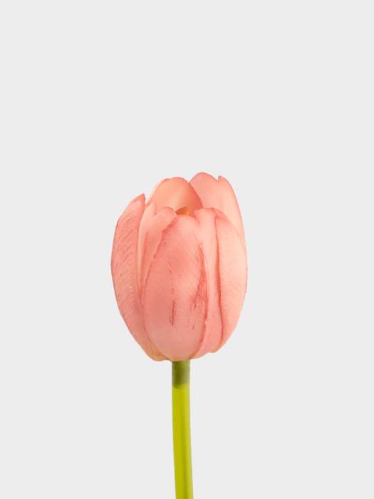 Цветок искусственный, 40 см, полиэтилен, Розовый тюльпан, Interior spring ANNA LAFARG ANLAF-JMB-2567-B