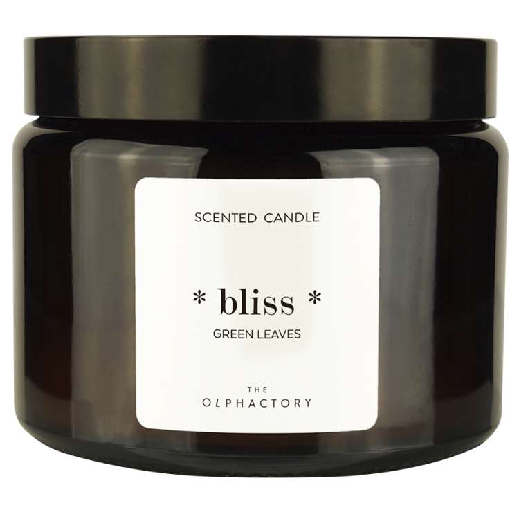 Свеча ароматическая the olphactory, bliss, green rhubarb, 60 ч Ambientair VV360DLTO