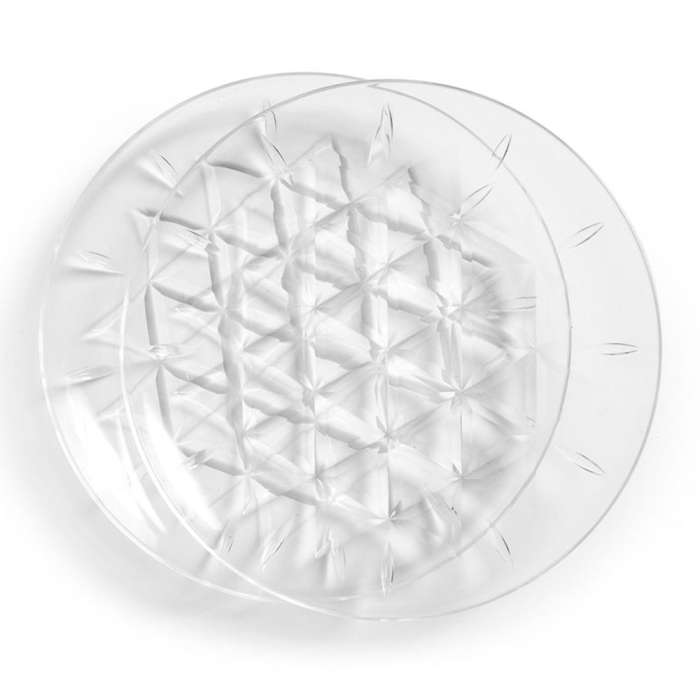 Набор тарелок для пикника 26 см, 2 шт., прозрачная Picknick SAGAFORM 5017896