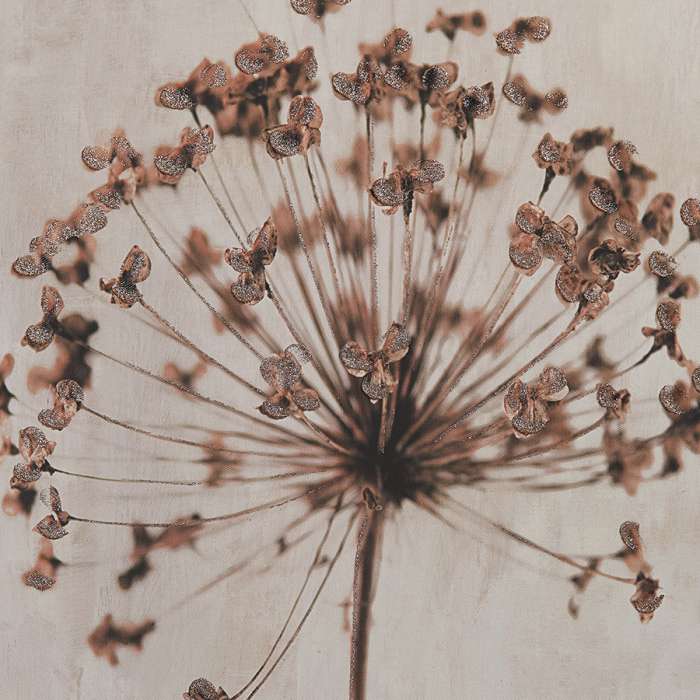 Панно декоративное plant, с белой рамой, 50х70 см Bergenson Bjorn BB0000853