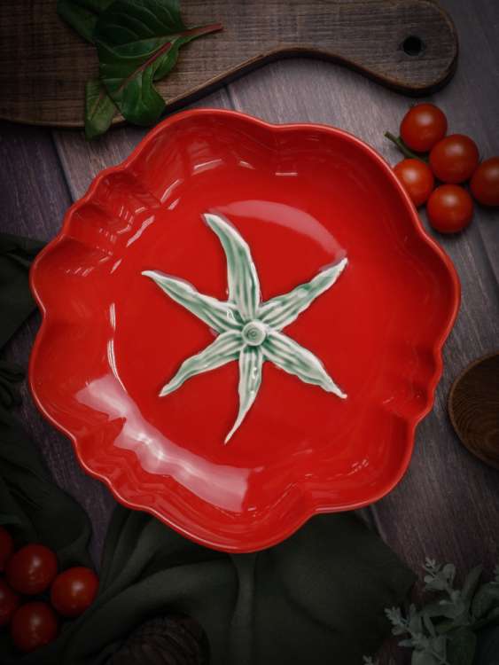 Тарелка глубокая d 26 см h 4,6 см, Tomato CASA DI FORTUNA CDF TM04