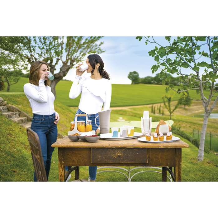 Салфетница настольная tierra, серо-бежевая Guzzini 197200158