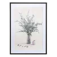 Панно декоративное plant с черной рамой, 50х70 см Bergenson Bjorn BB0000986