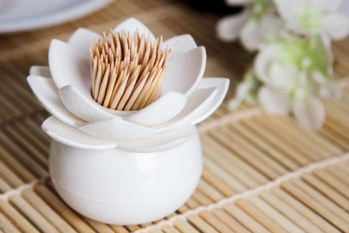 Держатель для зубочисток lotus, белый QUALY QL10156-WH-WH